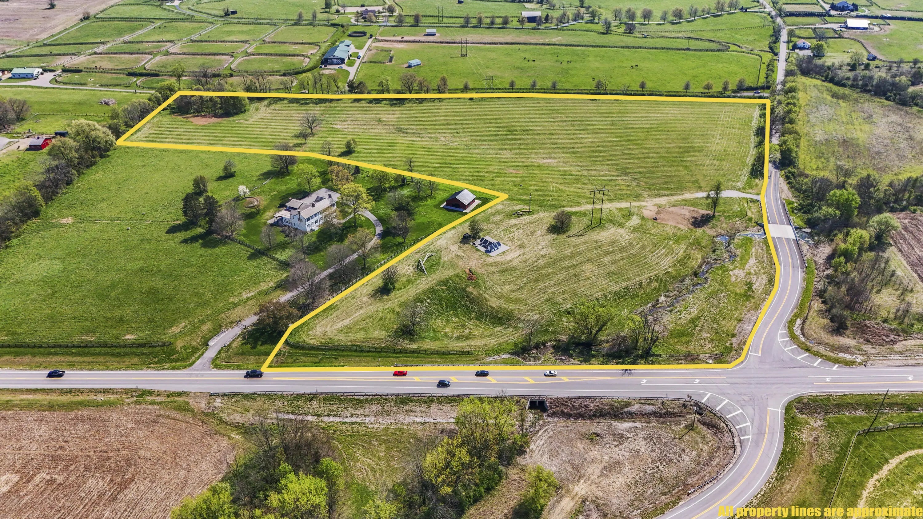 Photo of Listing #26007689