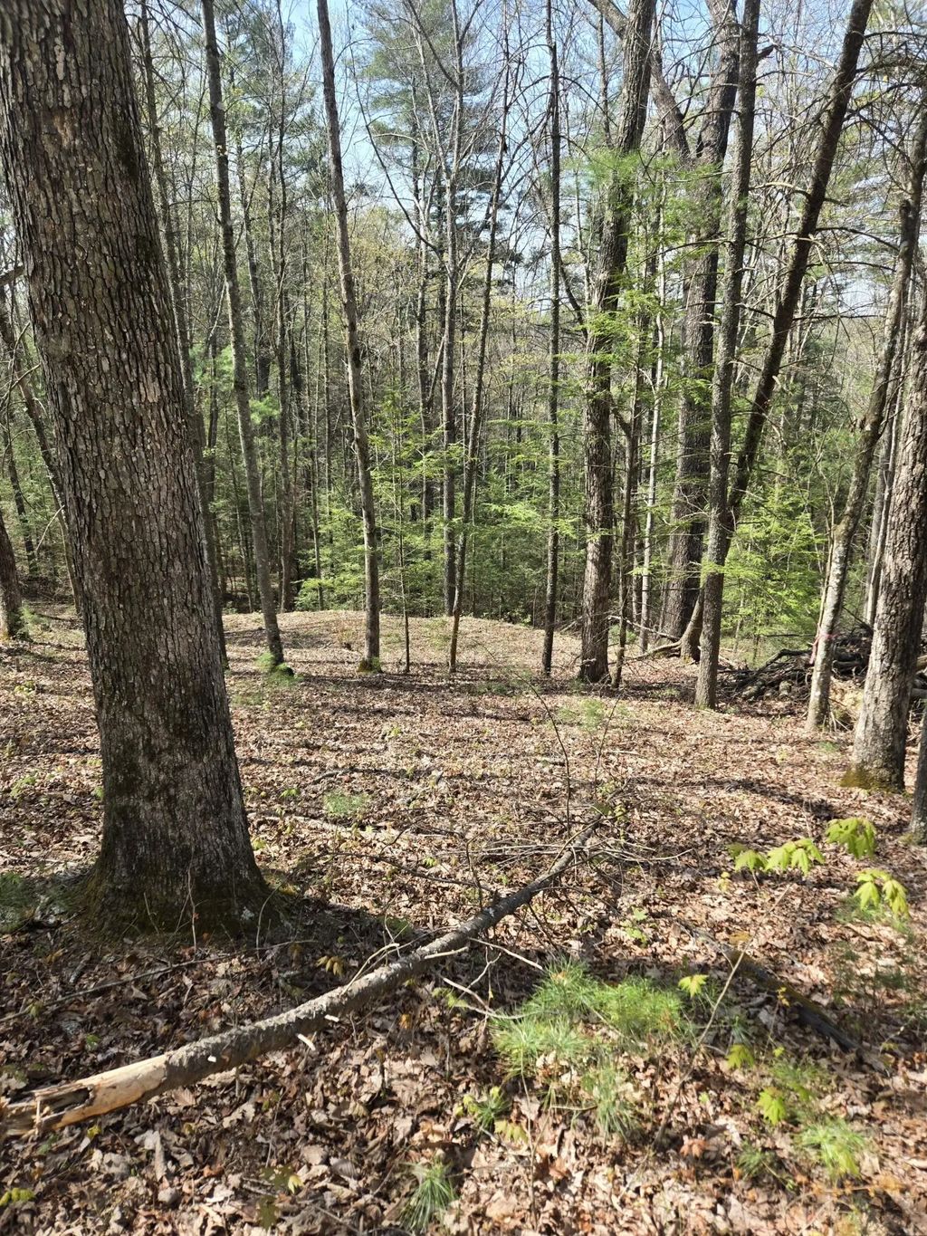 999 Victory Falls Lot 11, Campton