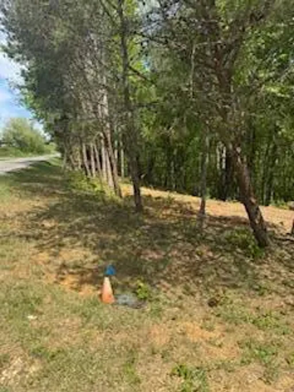 10608 Hwy 196, Nancy