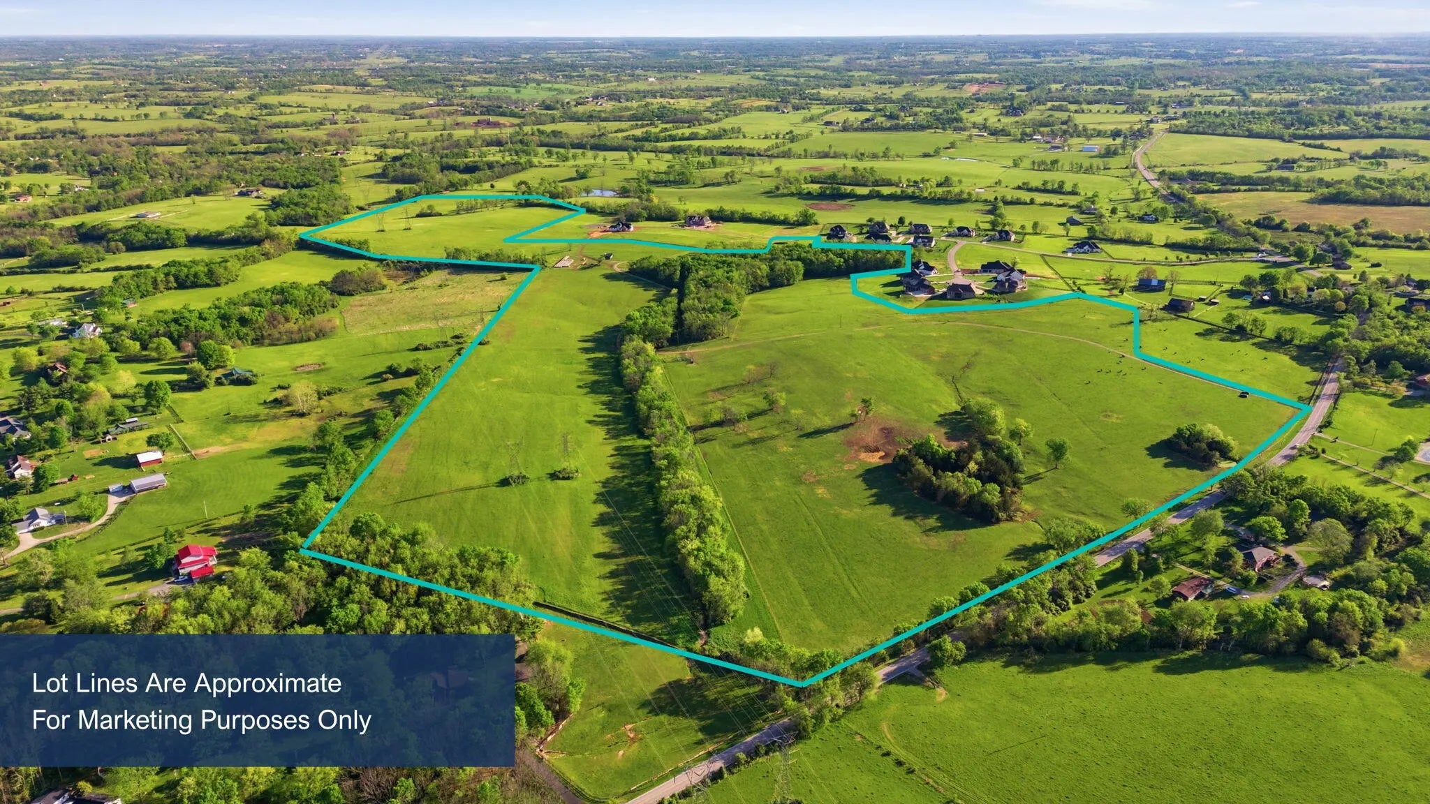 Photo of Listing #26008524