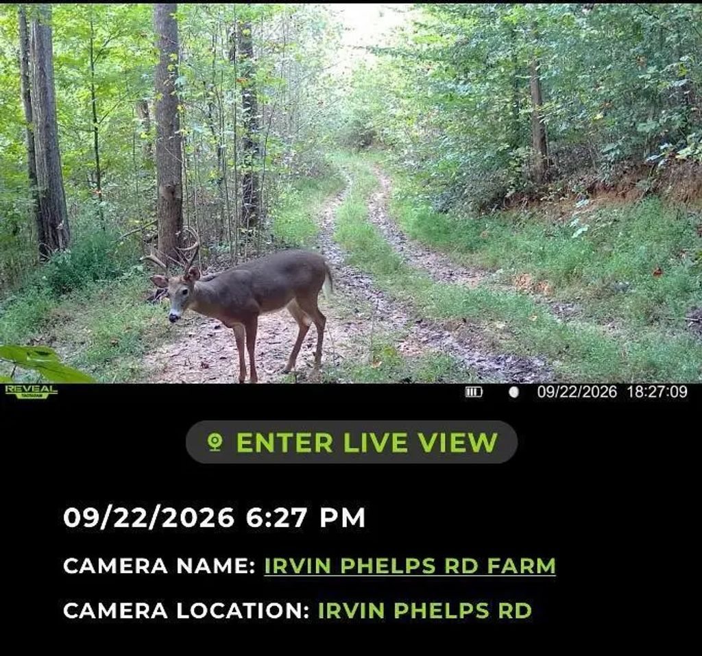 101 Irvin Phelps Road, Somerset
