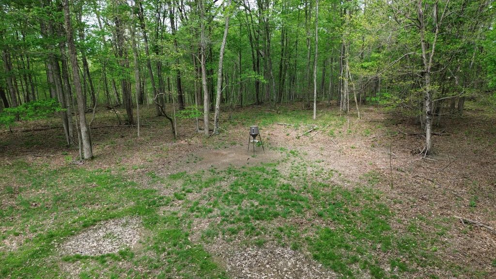 1271a Tunnel Ridge Rd, Argillite