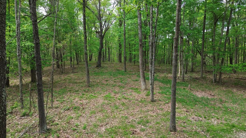 694a  Tunnel Ridge Road, Argillite