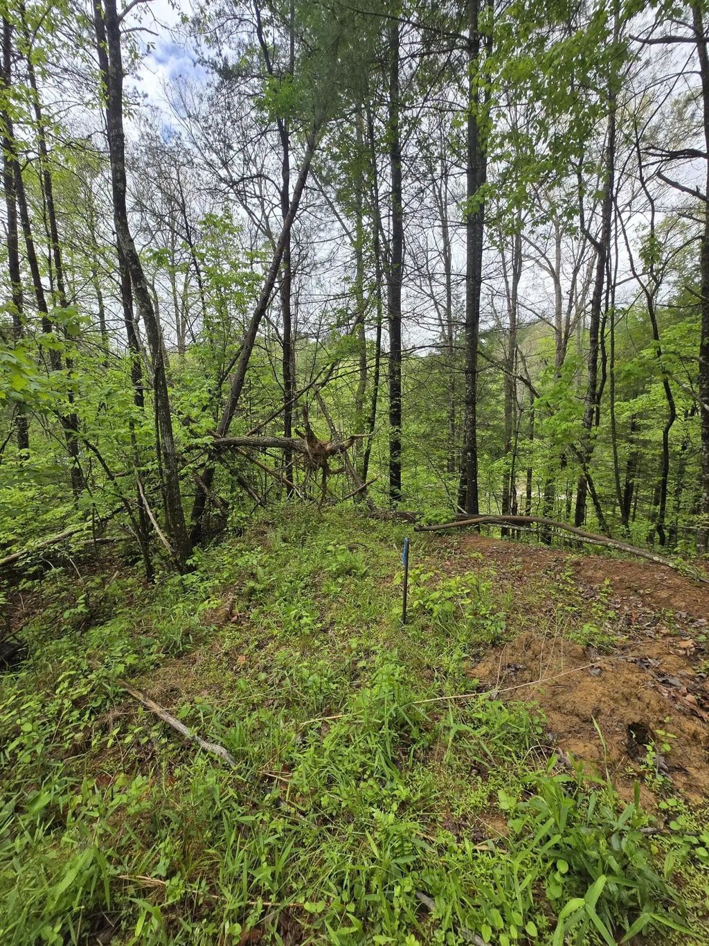 Lot 52  Soul Canyon Hideaways Development, Zoe