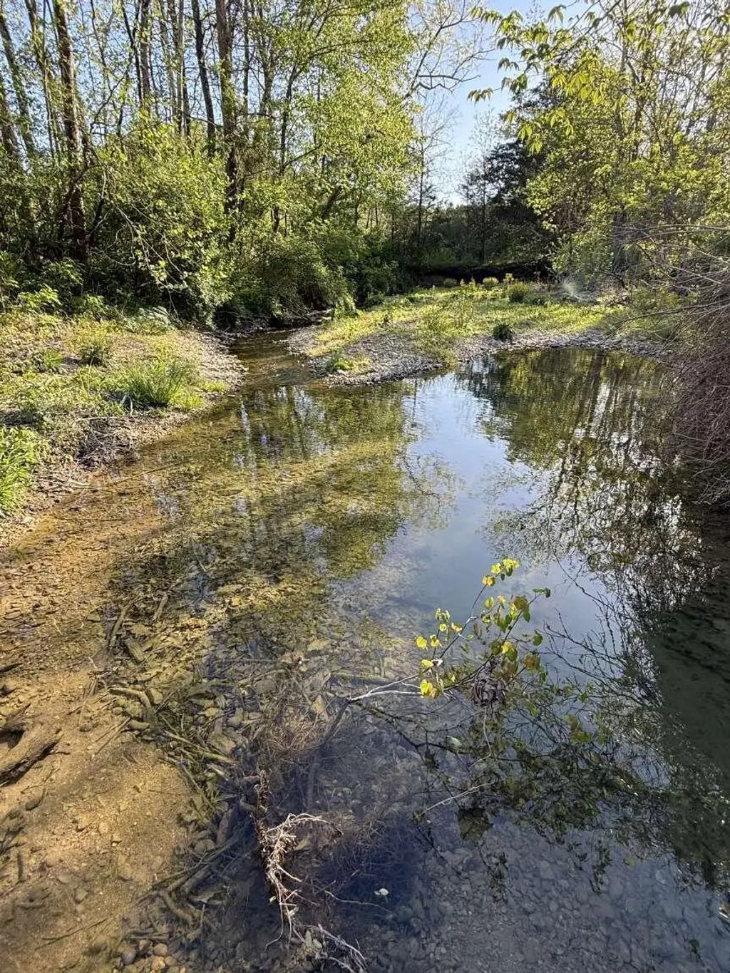 1234 Jonathan Fork Road, Liberty