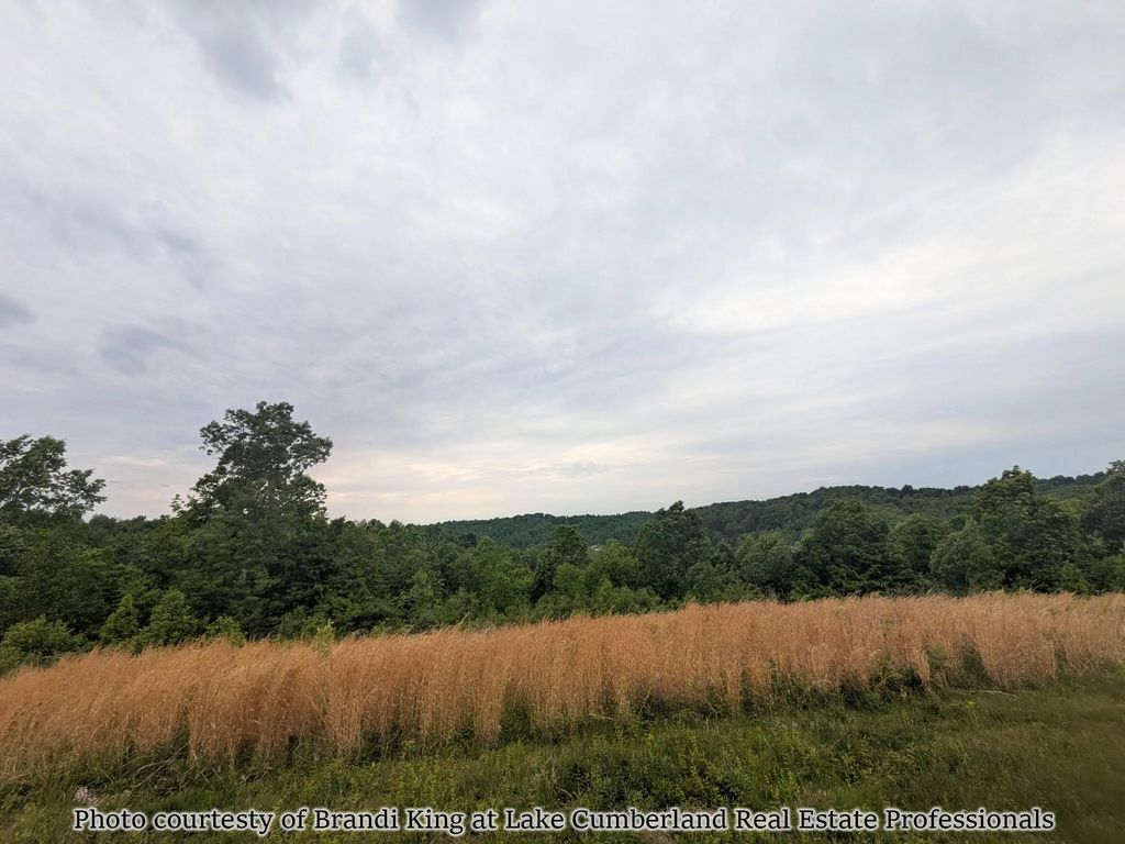 2455 Pierson Fork Road, Tyner