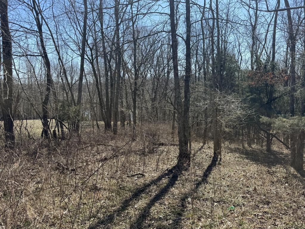 1 Landings Court, Willisburg