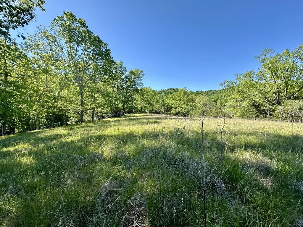 1170 E Doe Creek Road, Liberty