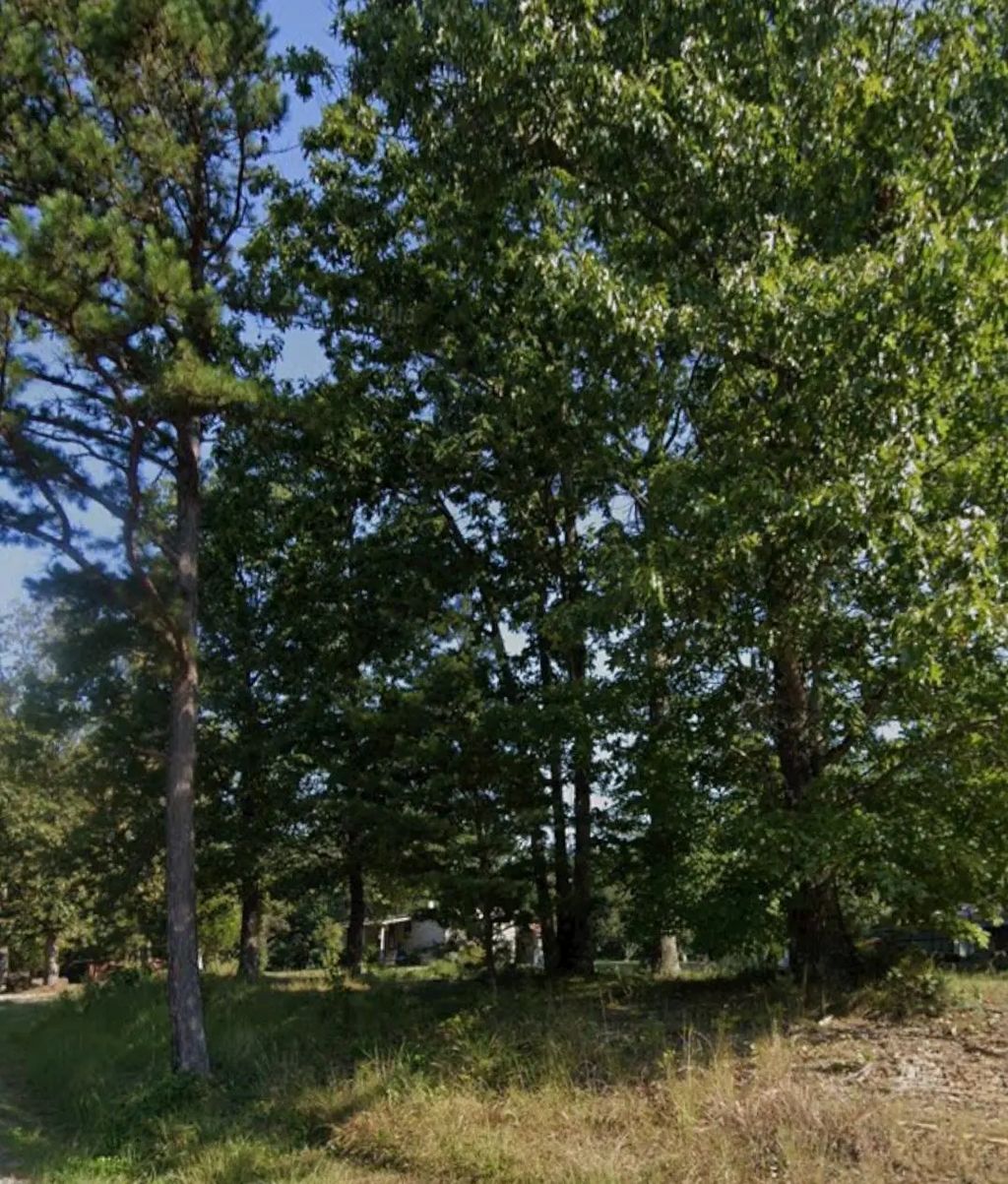 Lot 12 & 13 Faulkner Pk Bee Creek Rd, Corbin