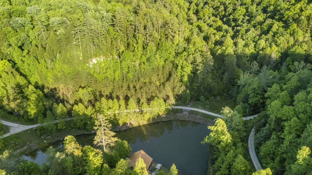 Lot 44 Paradise Valley Retreat 44, Rogers