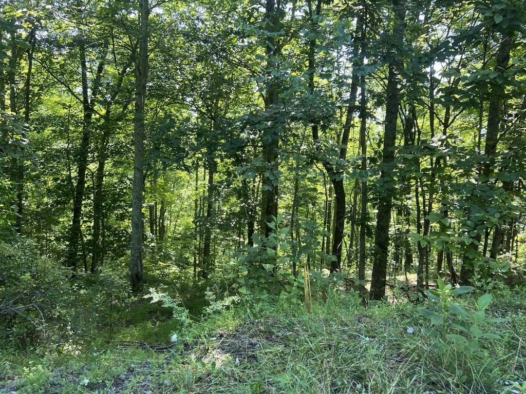 000 Mill Creek Road, Pineville