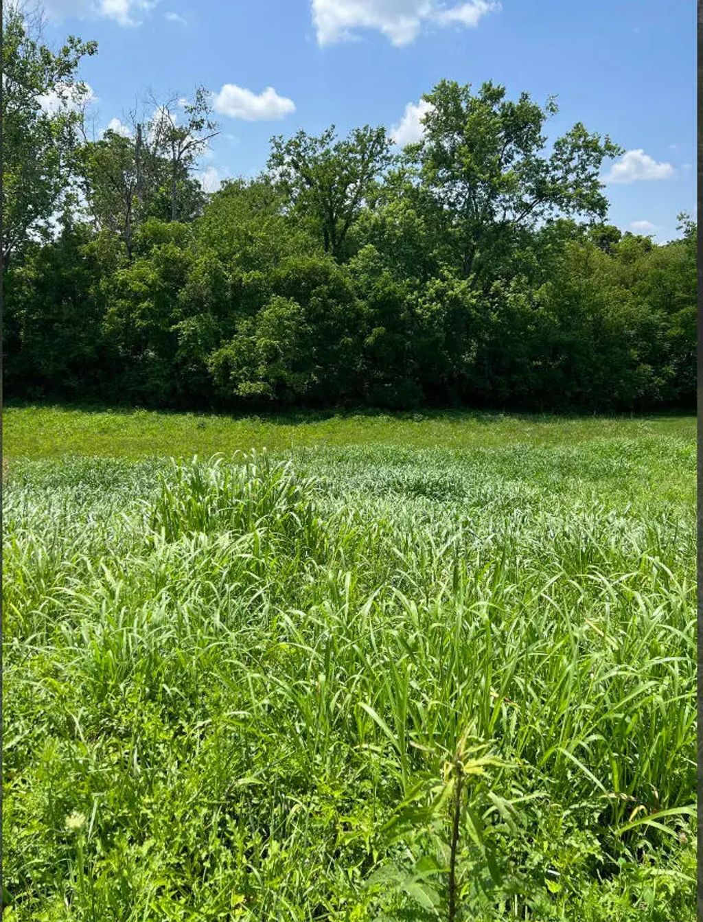 128 Oak View Drive, Mt Sterling