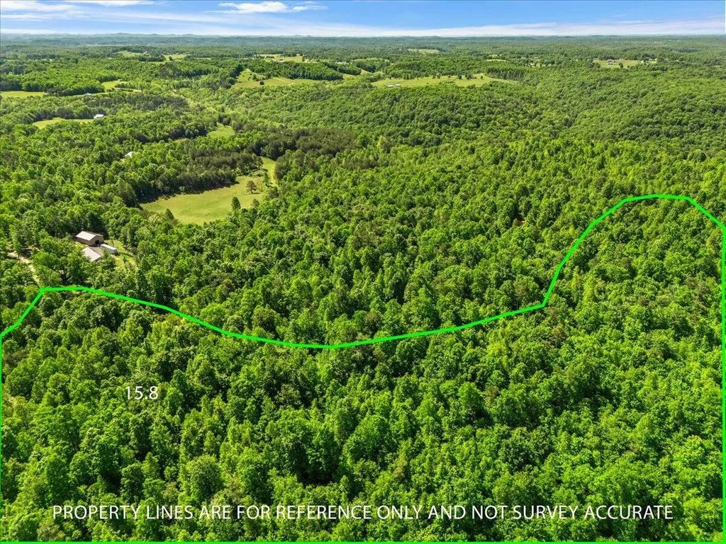 2222  Watt Nantz Road, East Bernstadt