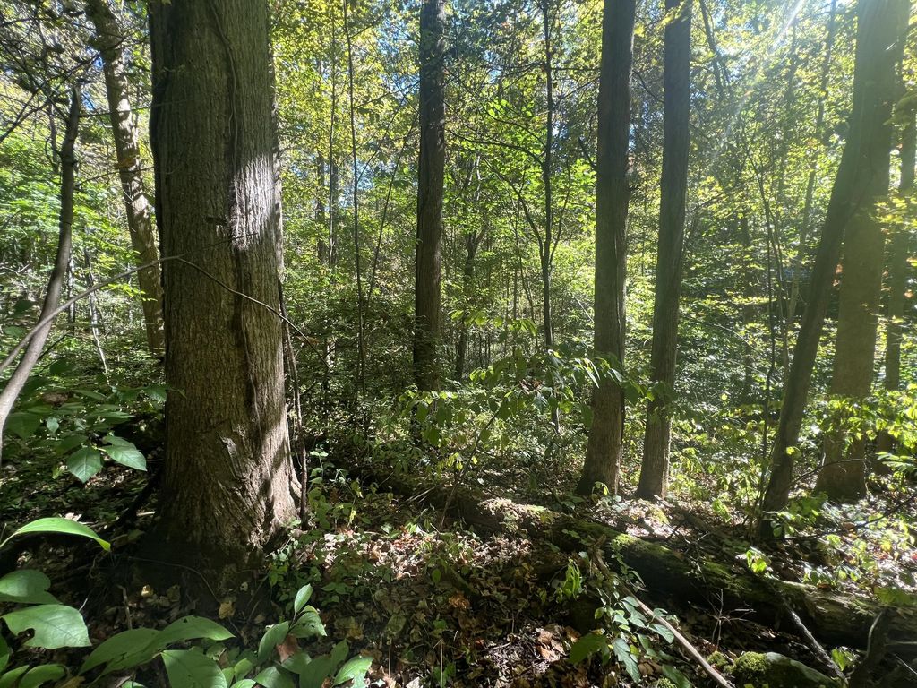 Lot 15 Red River Valley, Slade