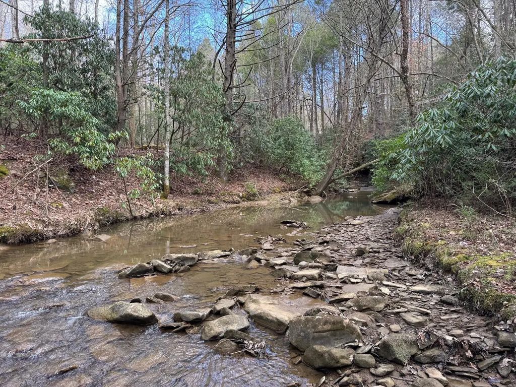 0 Hwy 3484, Pineville