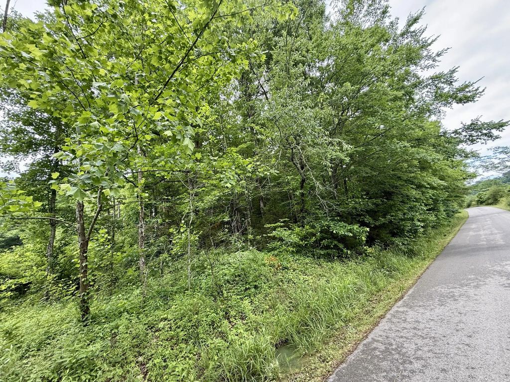 1350 Owens Branch Road, Dunnville