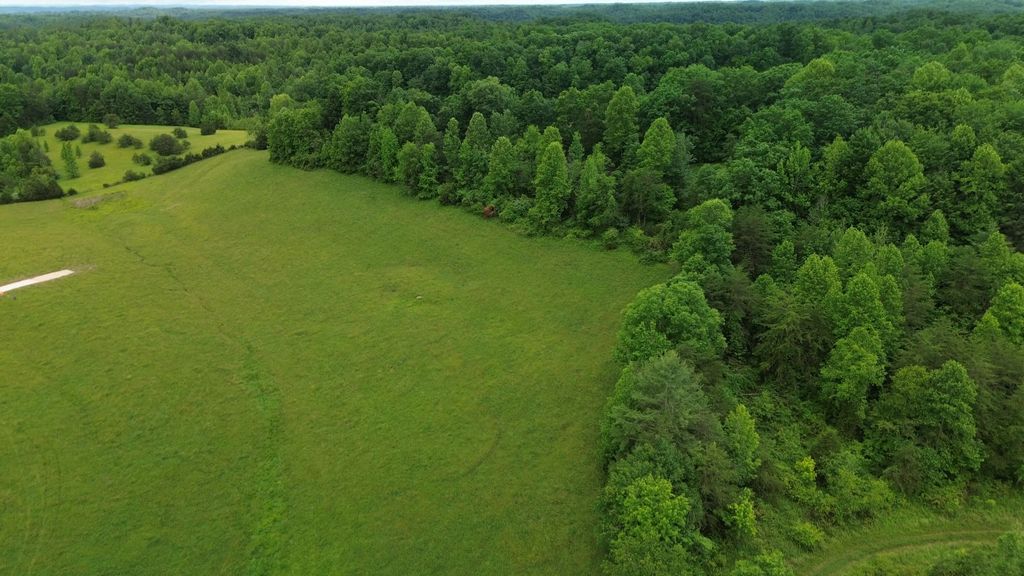 4135 Big Andy Ridge Road Tract 4, Rogers