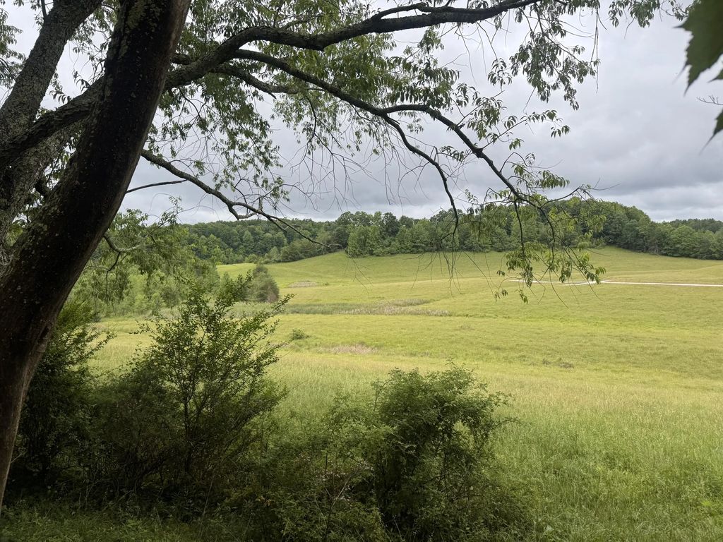 4135 Big Andy Ridge Road Tract 5, Rogers