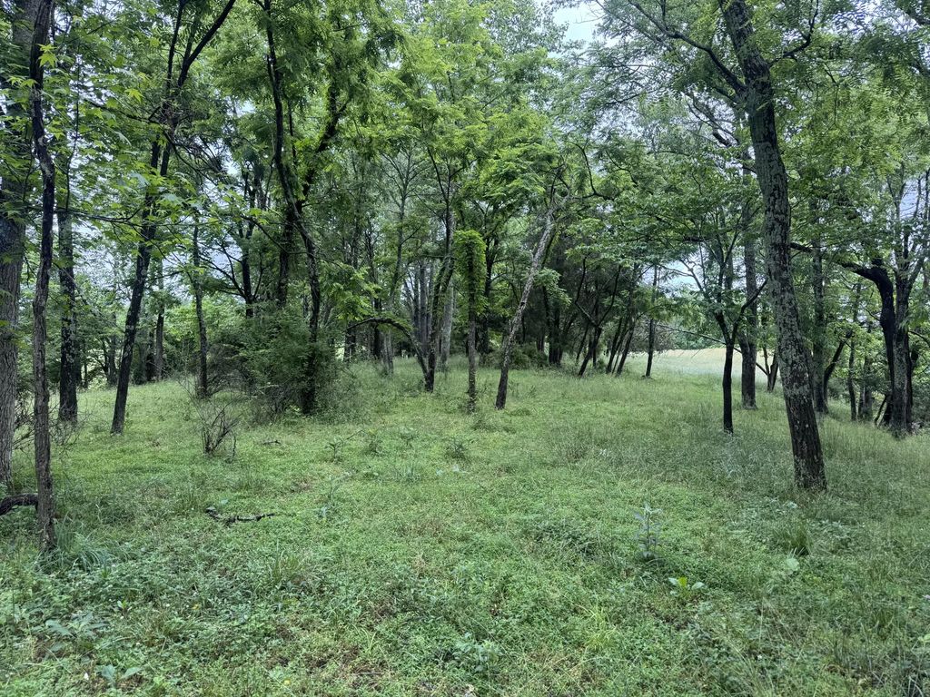 4135 Big Andy Ridge Road Tract 9, Rogers