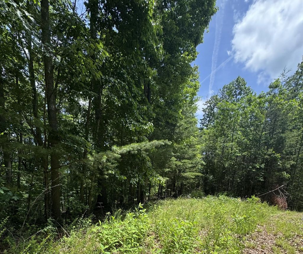 Lot #67 Sunrise Cove  Trail 67, Monticello