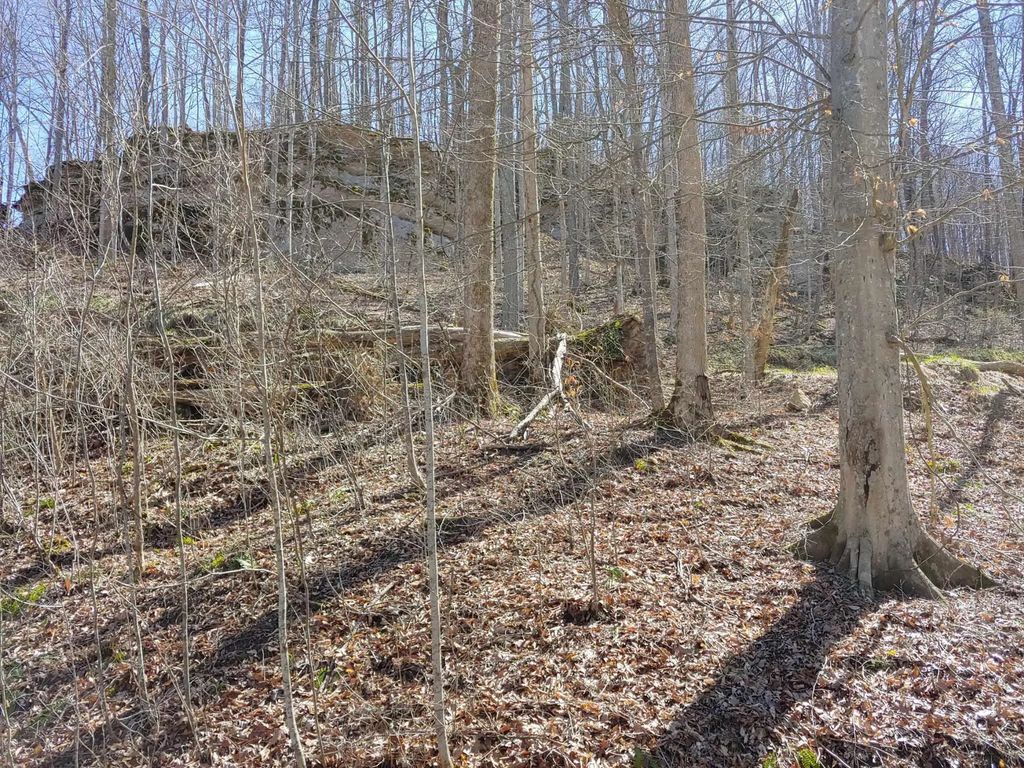 0 Birch Hollow Rd  Lot #11 Phase 2, Stanton