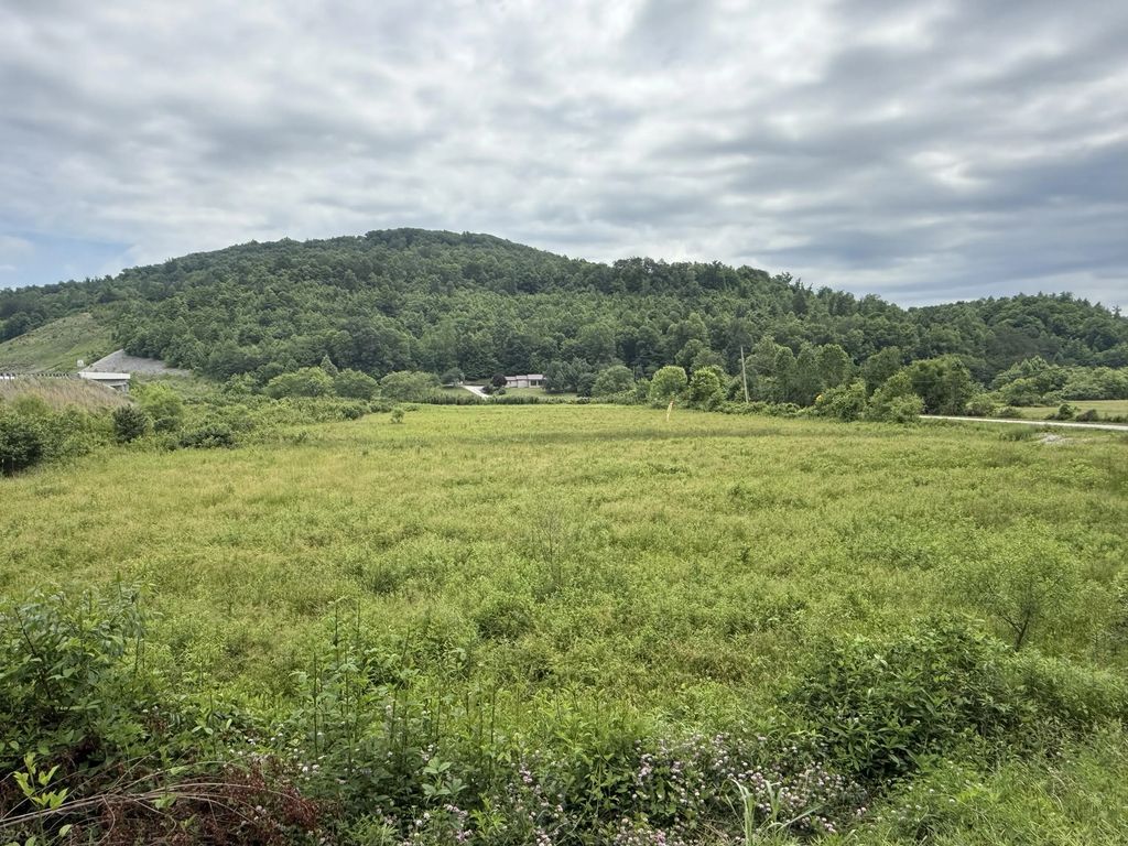 31 Hayes Creek Rd, Pine Knot