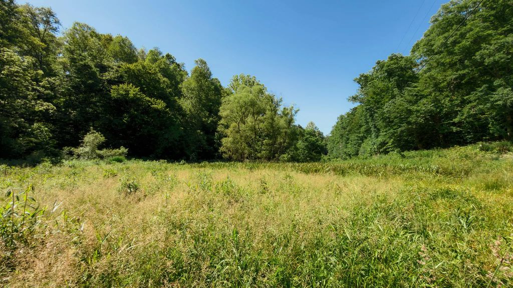 820 Shooting Fork  Road, Campton