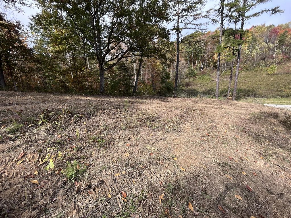 2553 Kentucky 1071, Tyner