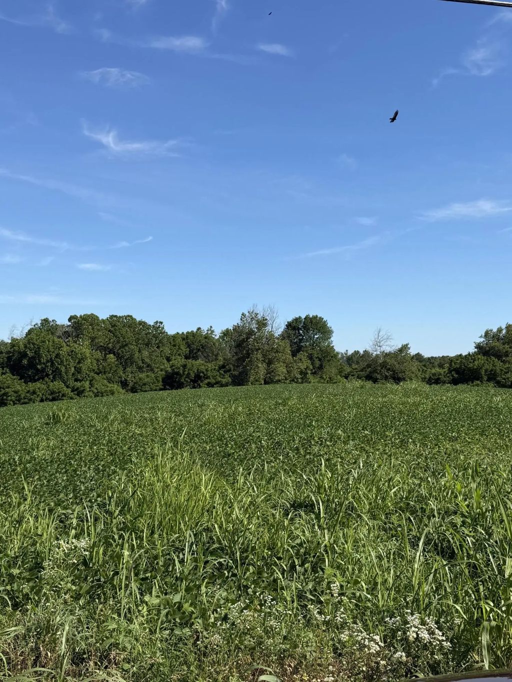 7825 Mount Carmel Road, Flemingsburg