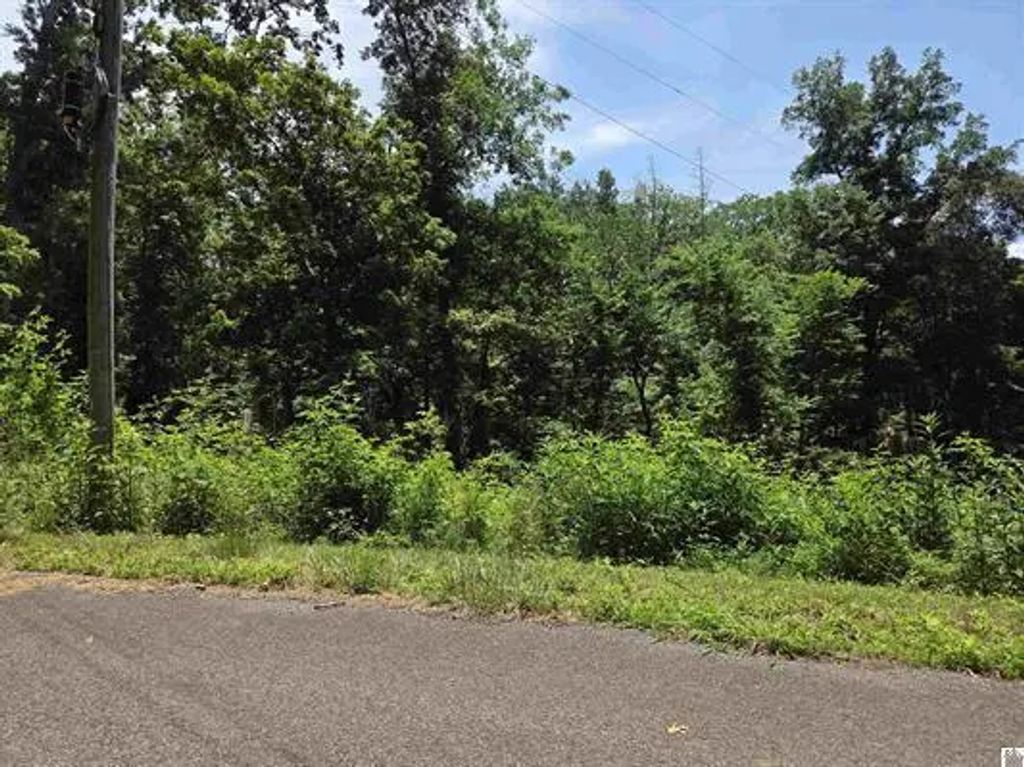 Lot 68 & 69 Baker  Lane, Cadiz