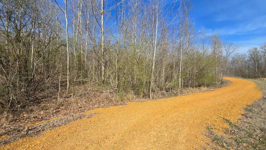 000 Mcclain Drive, New Concord