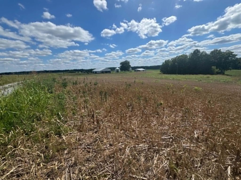 Lot 4 Willis Road, Columbia