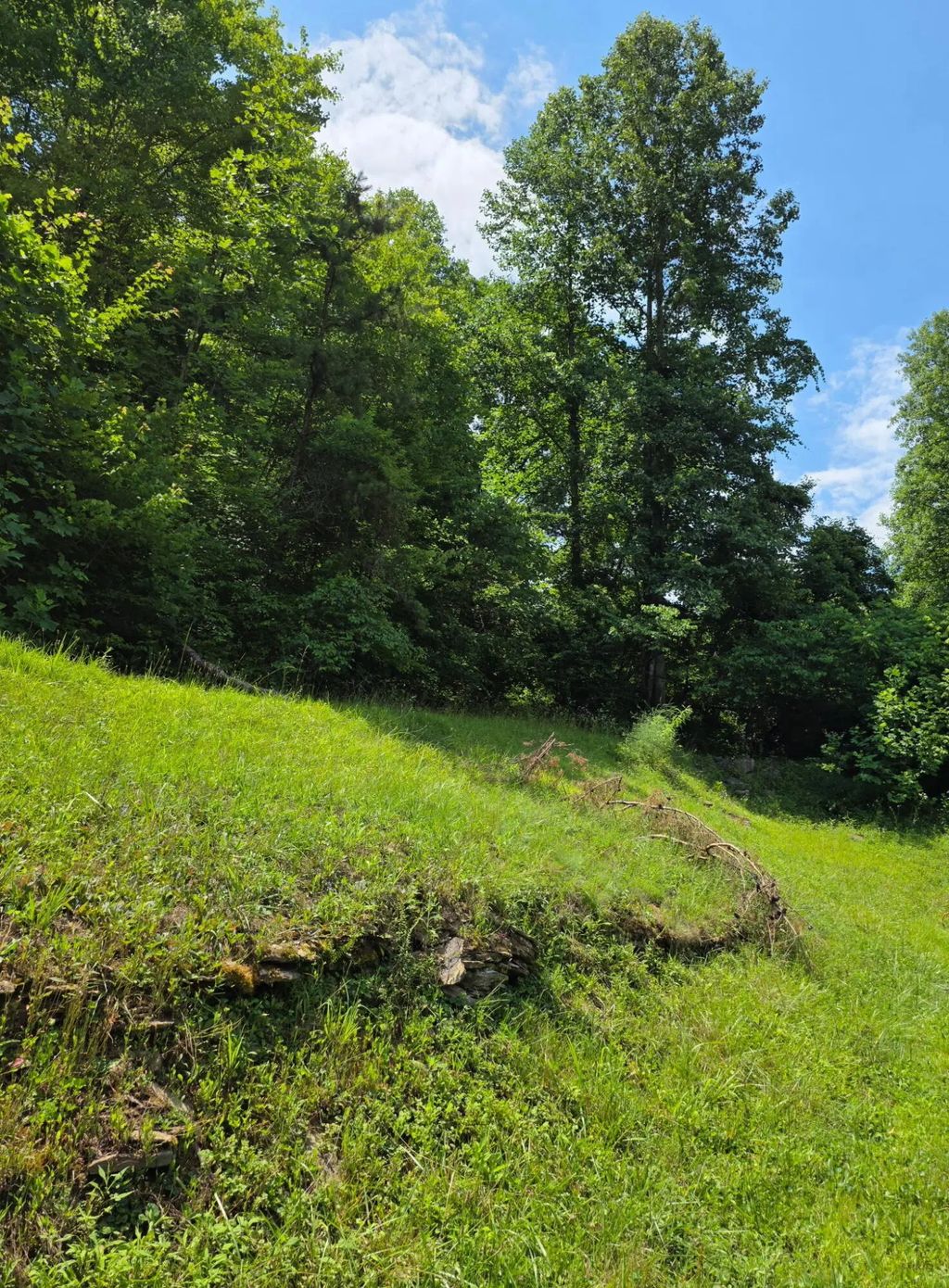 19 Harlan Lane, Buckhorn