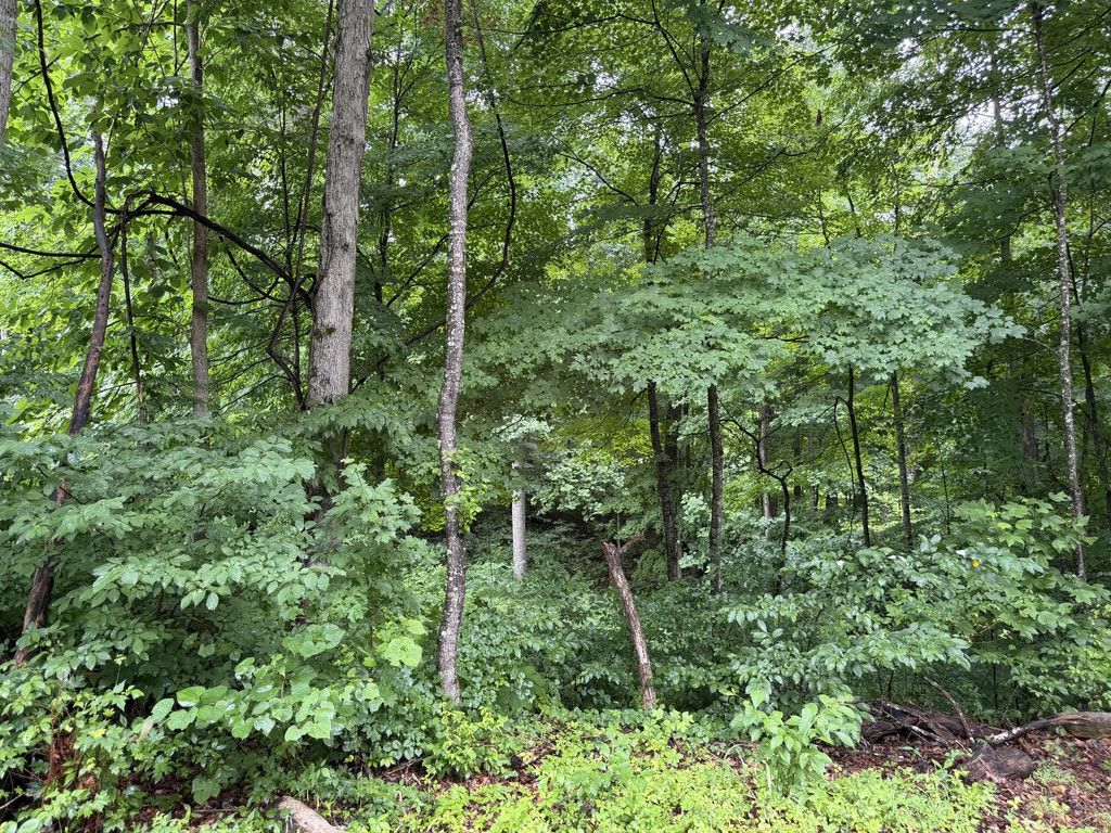 Lot 3  George Hardwick Drive, Bronston