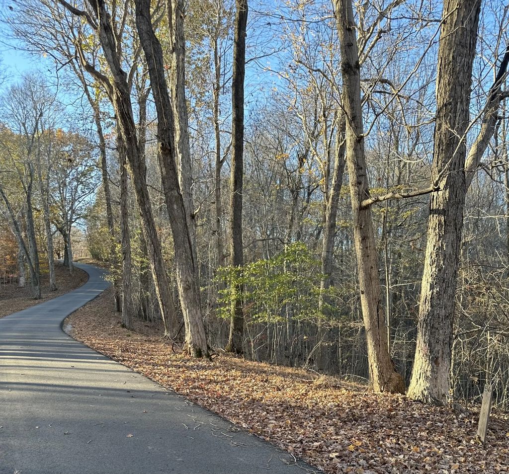Lot 56 And Lot 57 Lisanby Road, Eddyville
