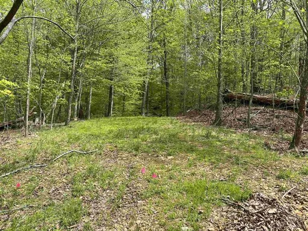 000 Blake Road Lot 39 & 40, Eddyville