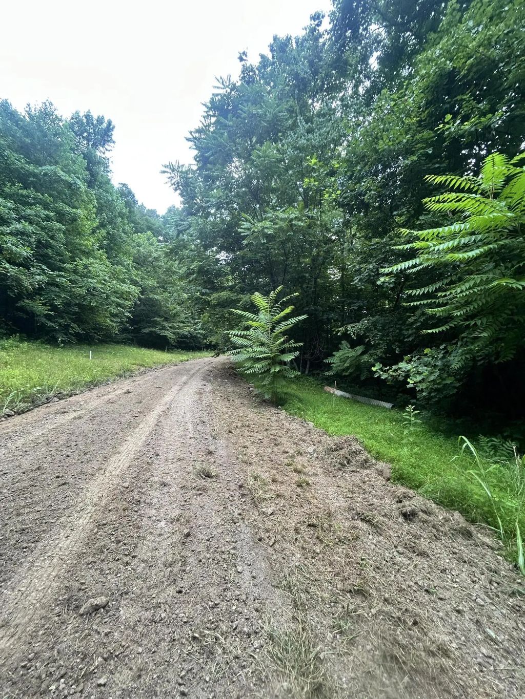 Tract 68-70 Cd Dogwood Drive, Whitley City