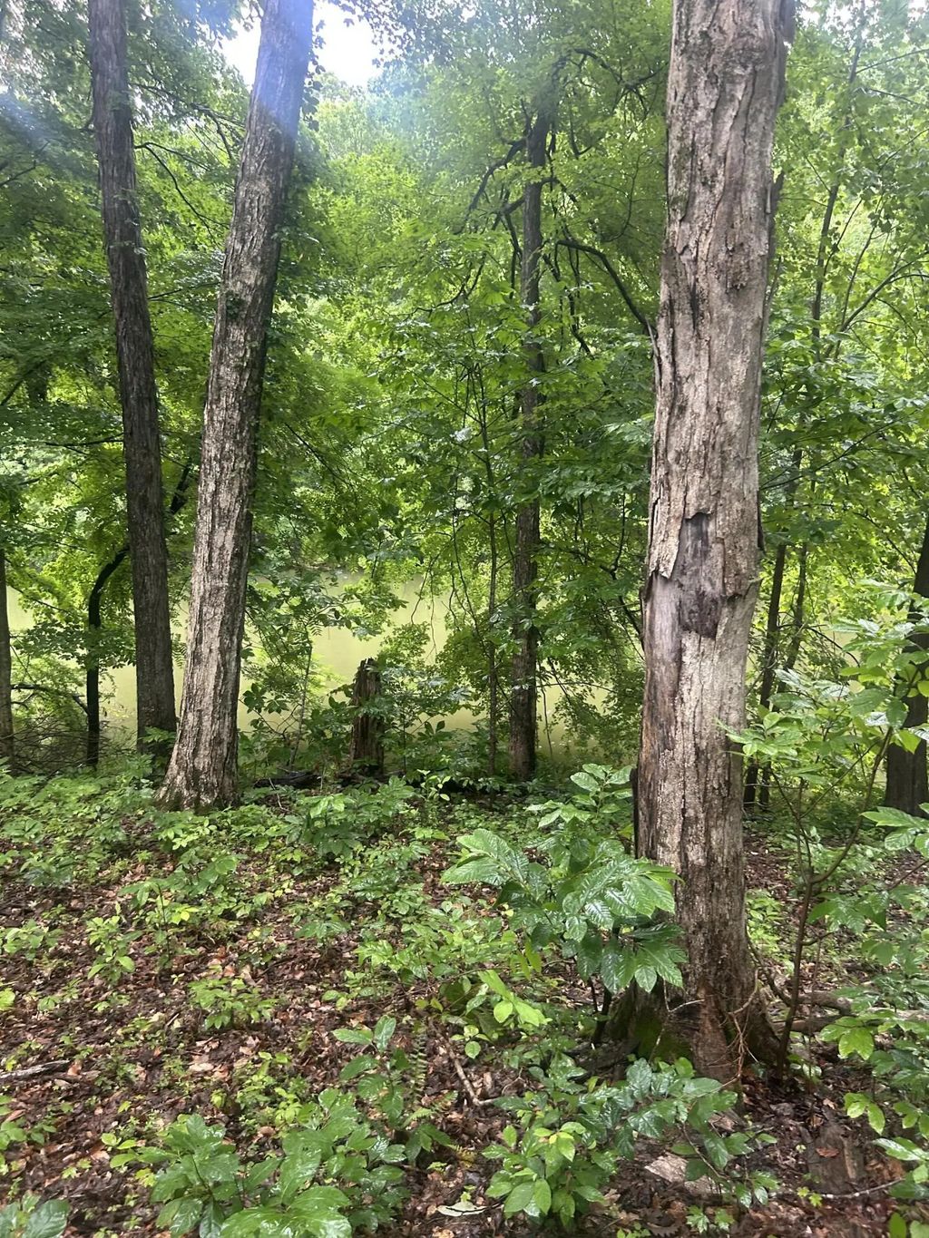 124 Woodfield Estates Drive Lot 124-128, Cadiz