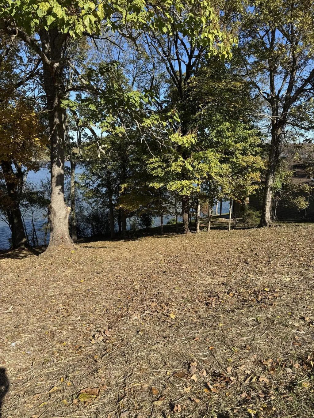 57 Cheekwood Lane, Cadiz