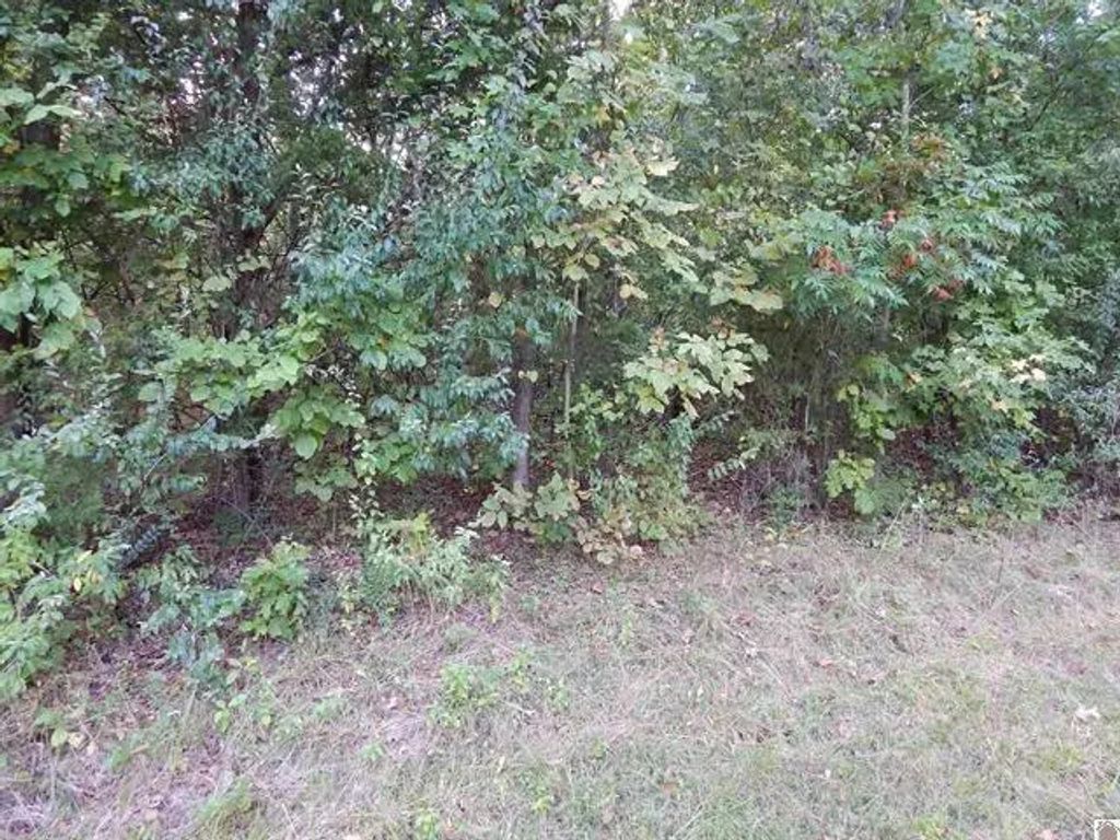 Lot 44 Forest Lane, Eddyville