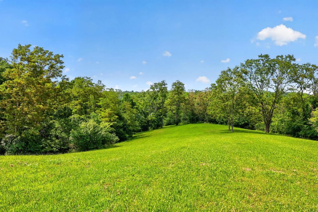 0000 Frogtown Road, Sadieville
