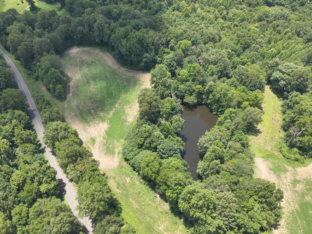 000  Hwy 1591  (north Tract), Bardwell