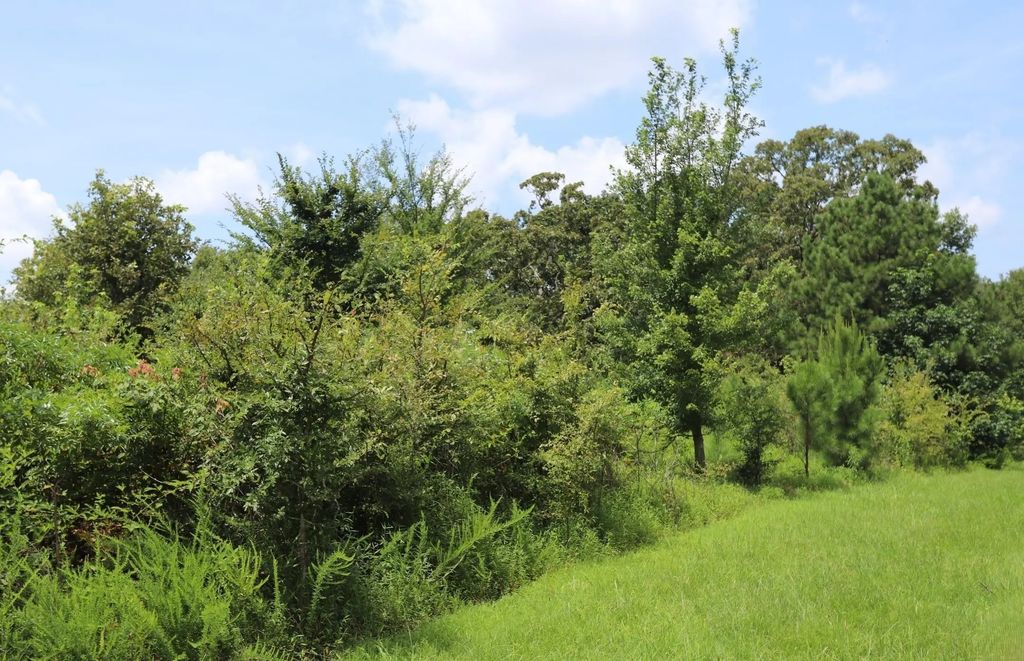 Lot 58 Kirk Ridge Drive, Murray