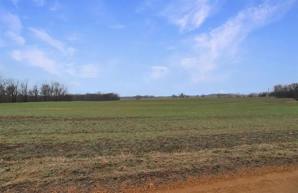 0 Atkins Trail, Hazel