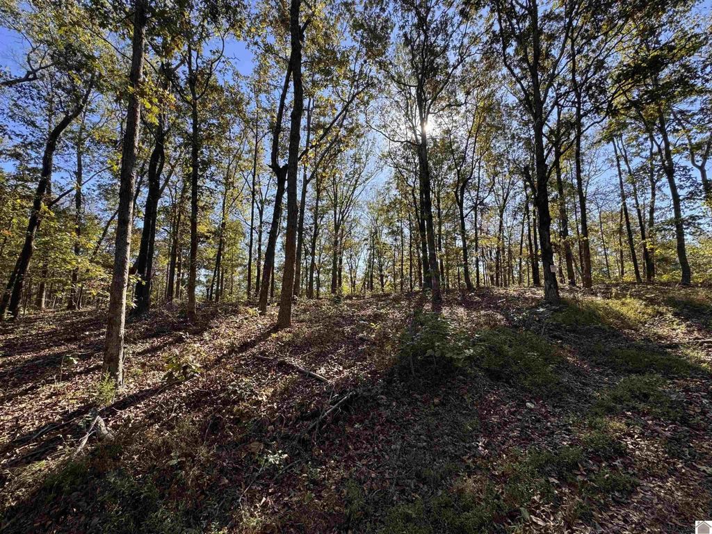 103-0-0018-c Ridge Road, New Concord