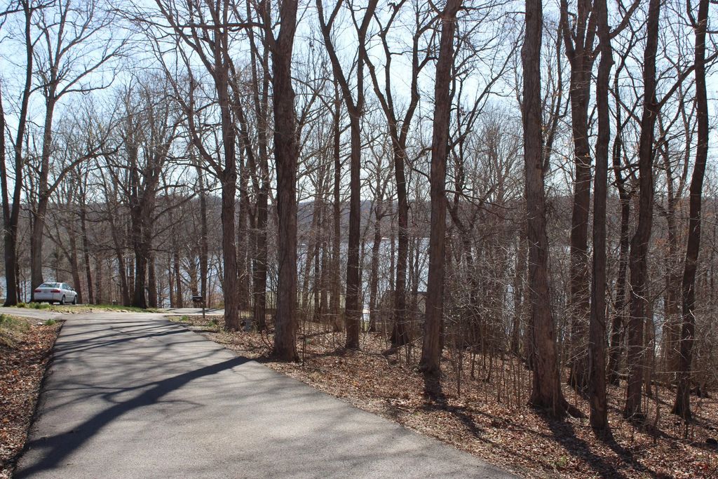 Lot 42 And Lot 43 Lisanby Road, Eddyville