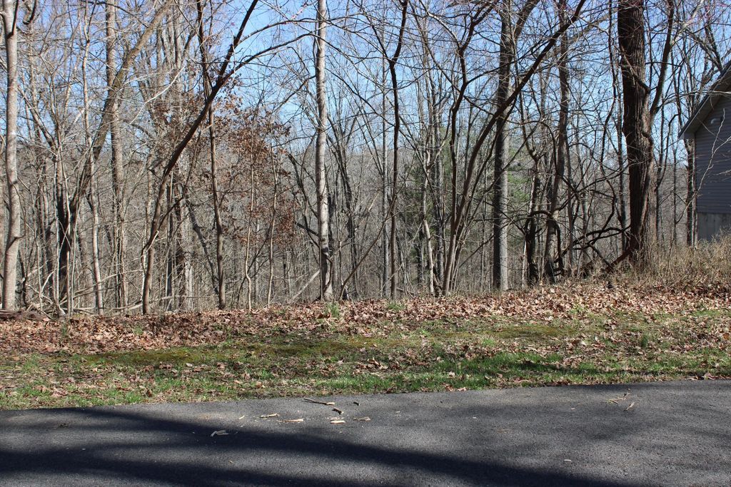 Lot 54 And Lot 55 Lisanby Road, Eddyville