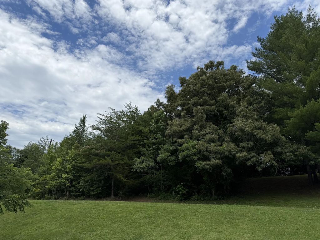 999 Mcdonalds Lane, Heidrick