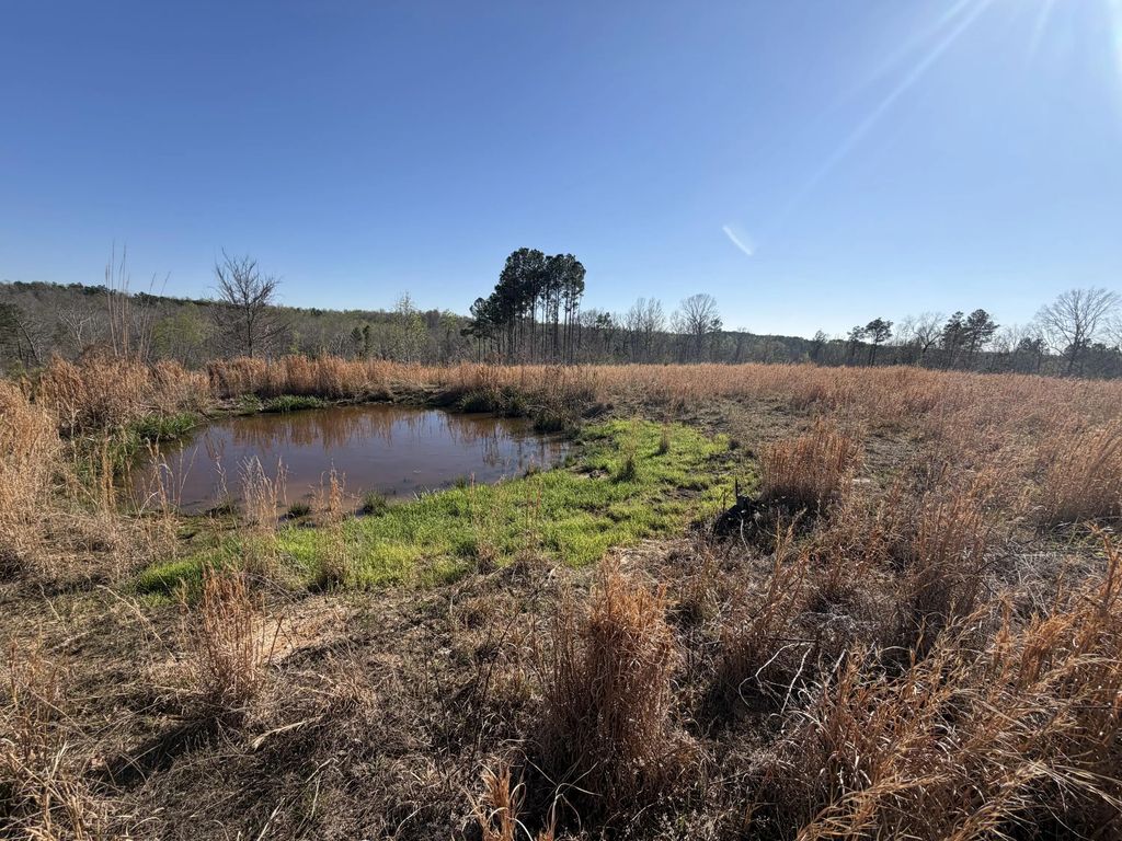14-009.21 Fire Tower Road, Cadiz