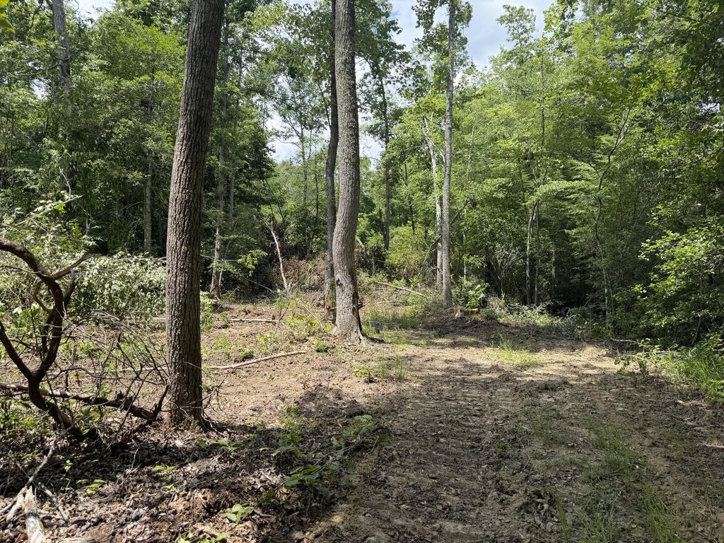4444 Gibson Lane, Williamsburg